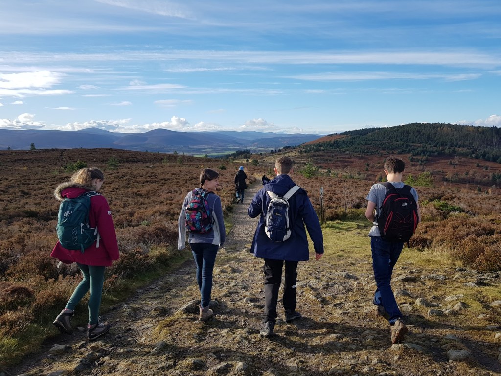Autumn in Aberdeenshire