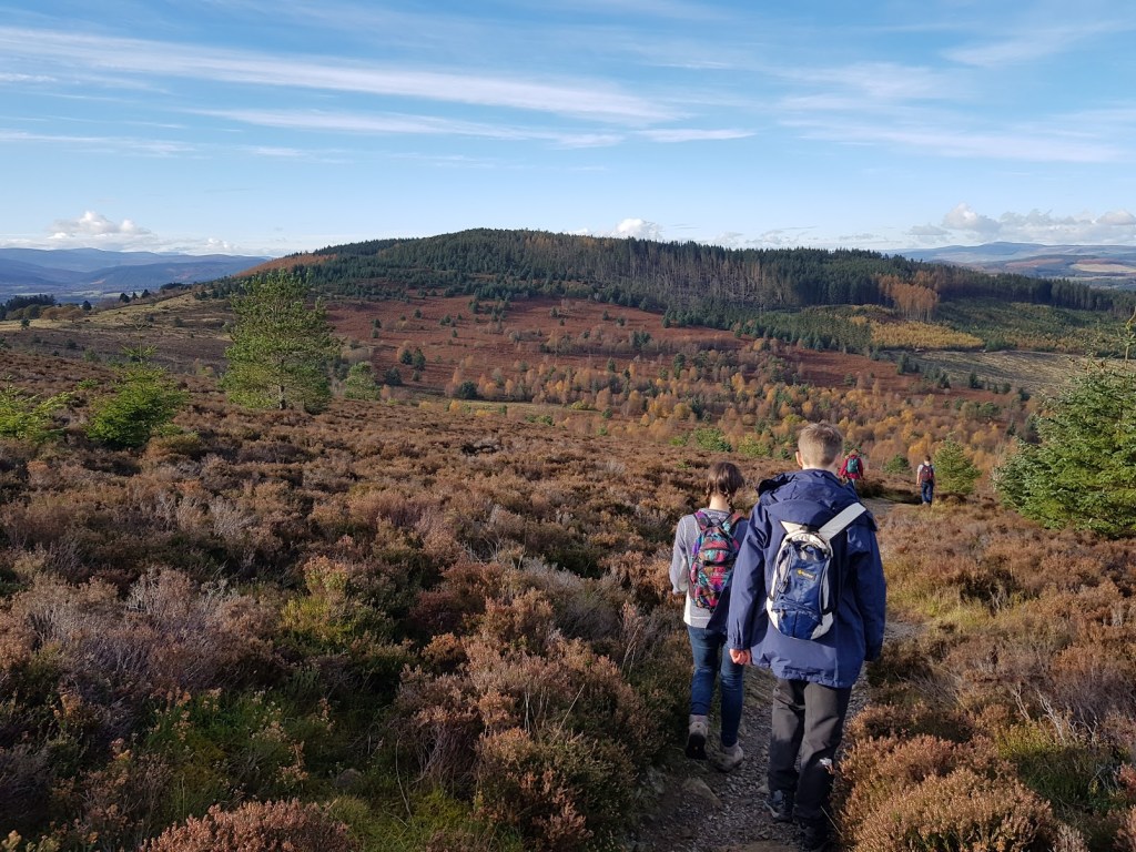 More views of the walk down with greens, reds, and browns on the landscape with a clear blue sky.