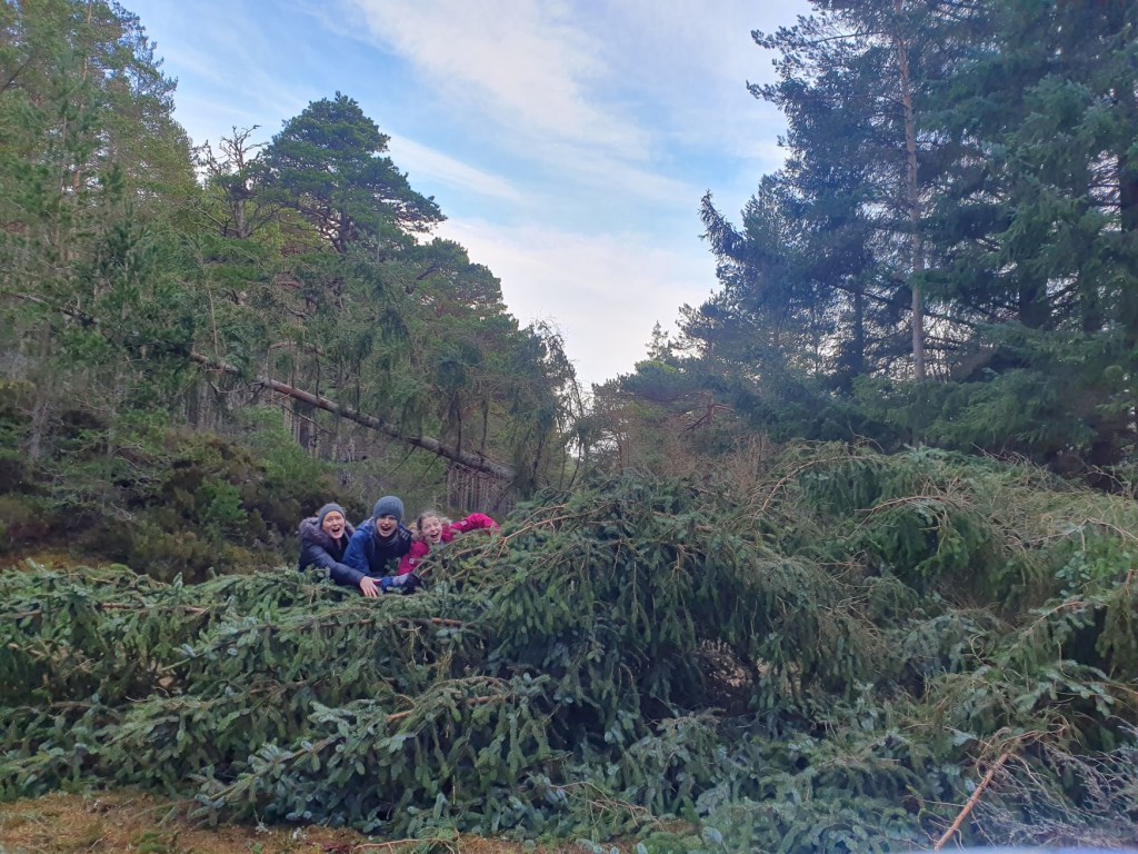 Cara, Daniel, and Elizabeth next to the fallen tree
