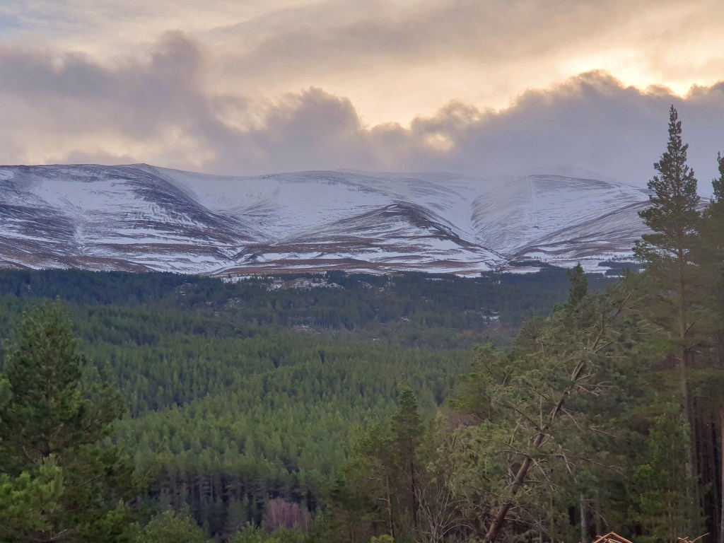 Snow covered mountains in the distance