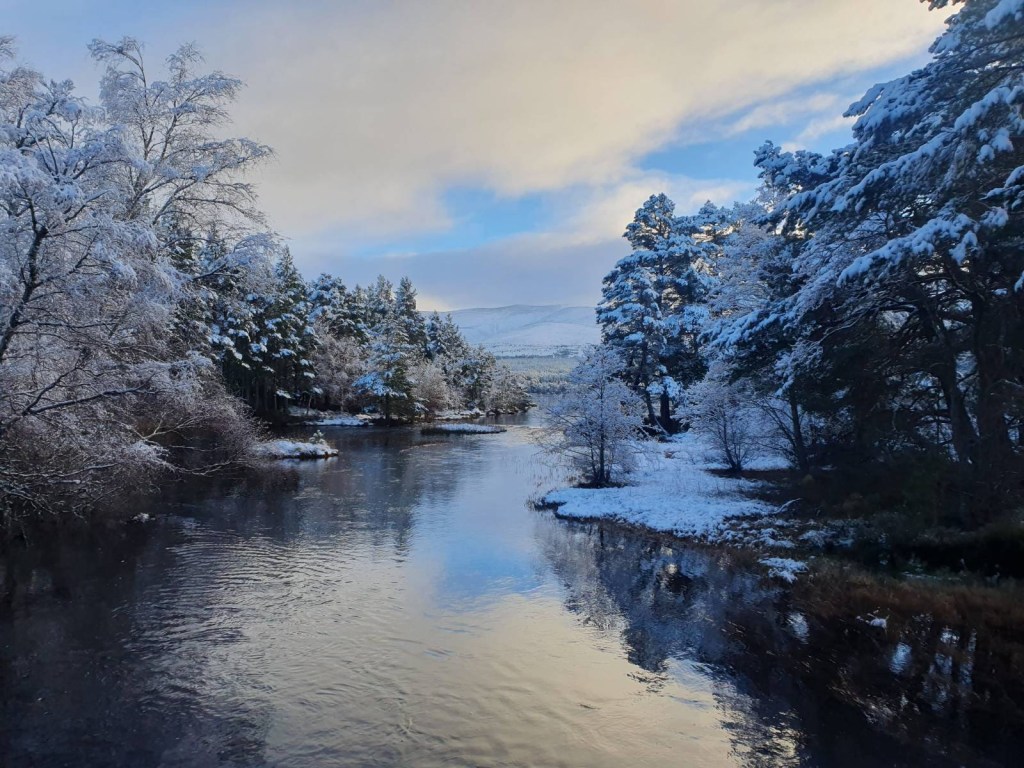 A stream next to Loch Morlich