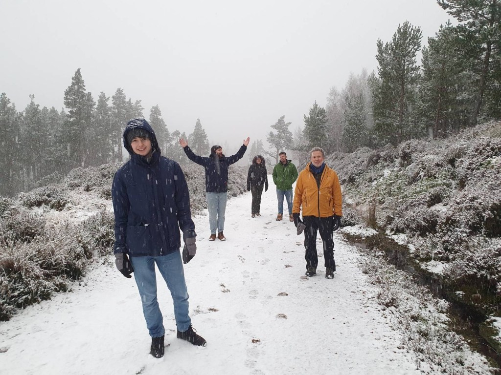 Merry Christmas 2023