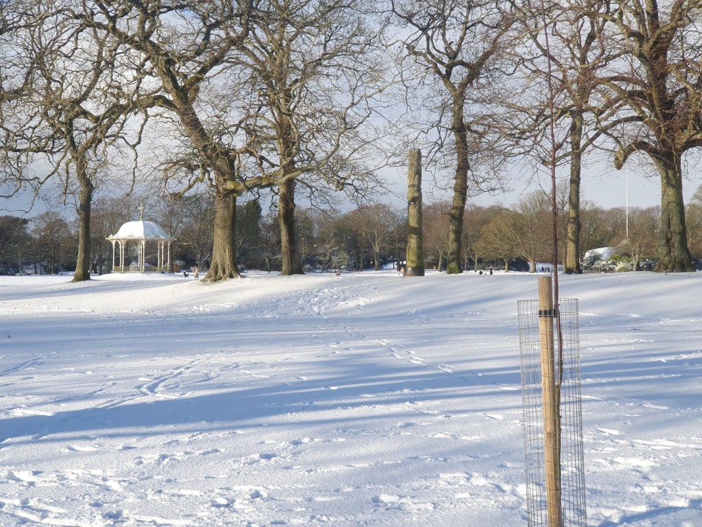 Snow at Duthie Park with the bandstand in the distance. 