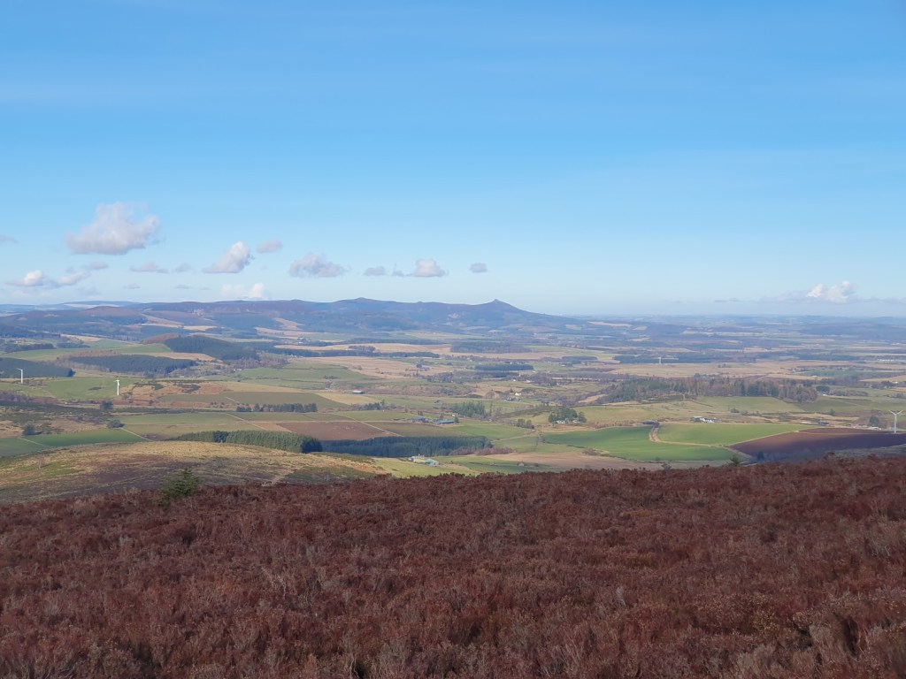 View toward Clachnaben in the distance.