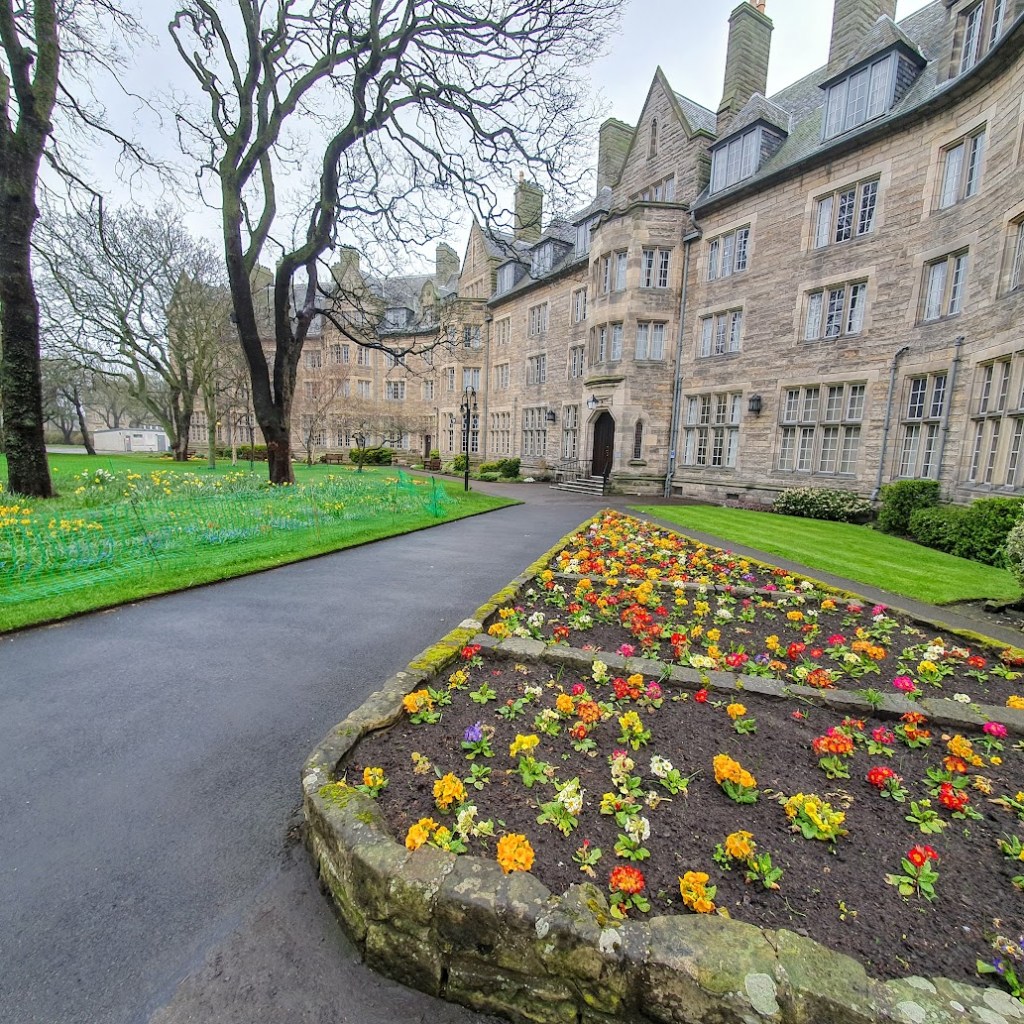 University of St Andrews with some spring flower beds in the foreground and some daffodils under the trees on the left.