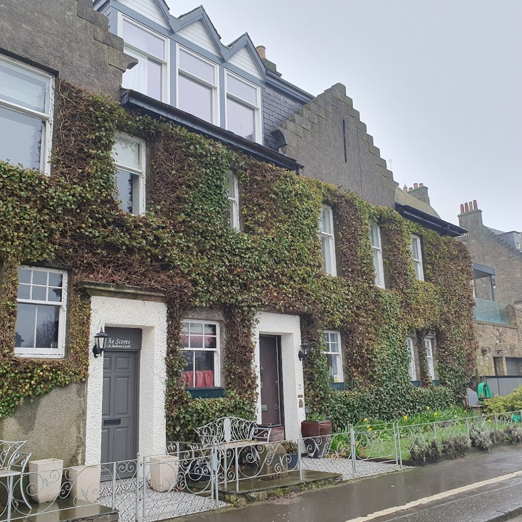 Ivy covering a home on the seafront.