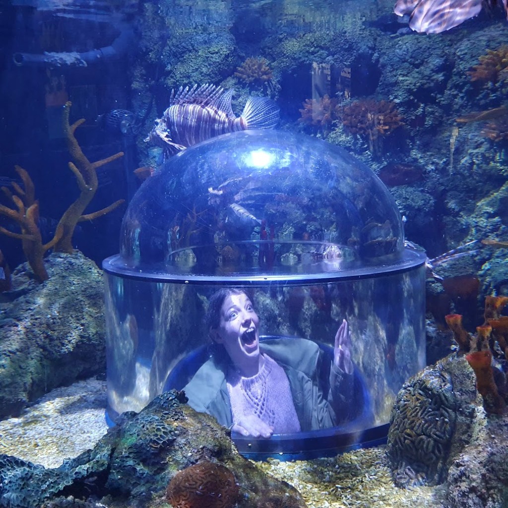 Elizabeth inside a tank with lion fish.