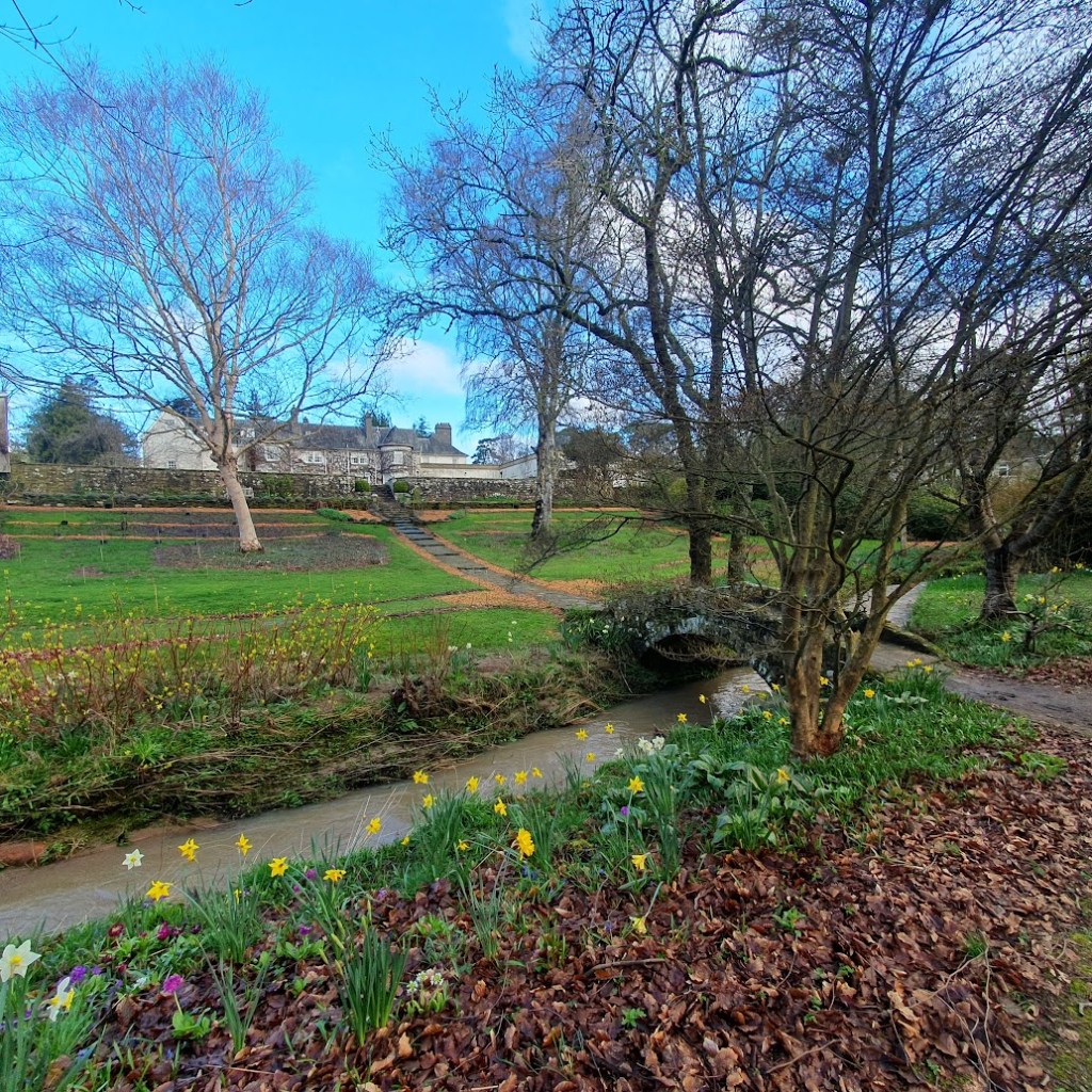 Looking up towards the hotel from a little stream at the back.