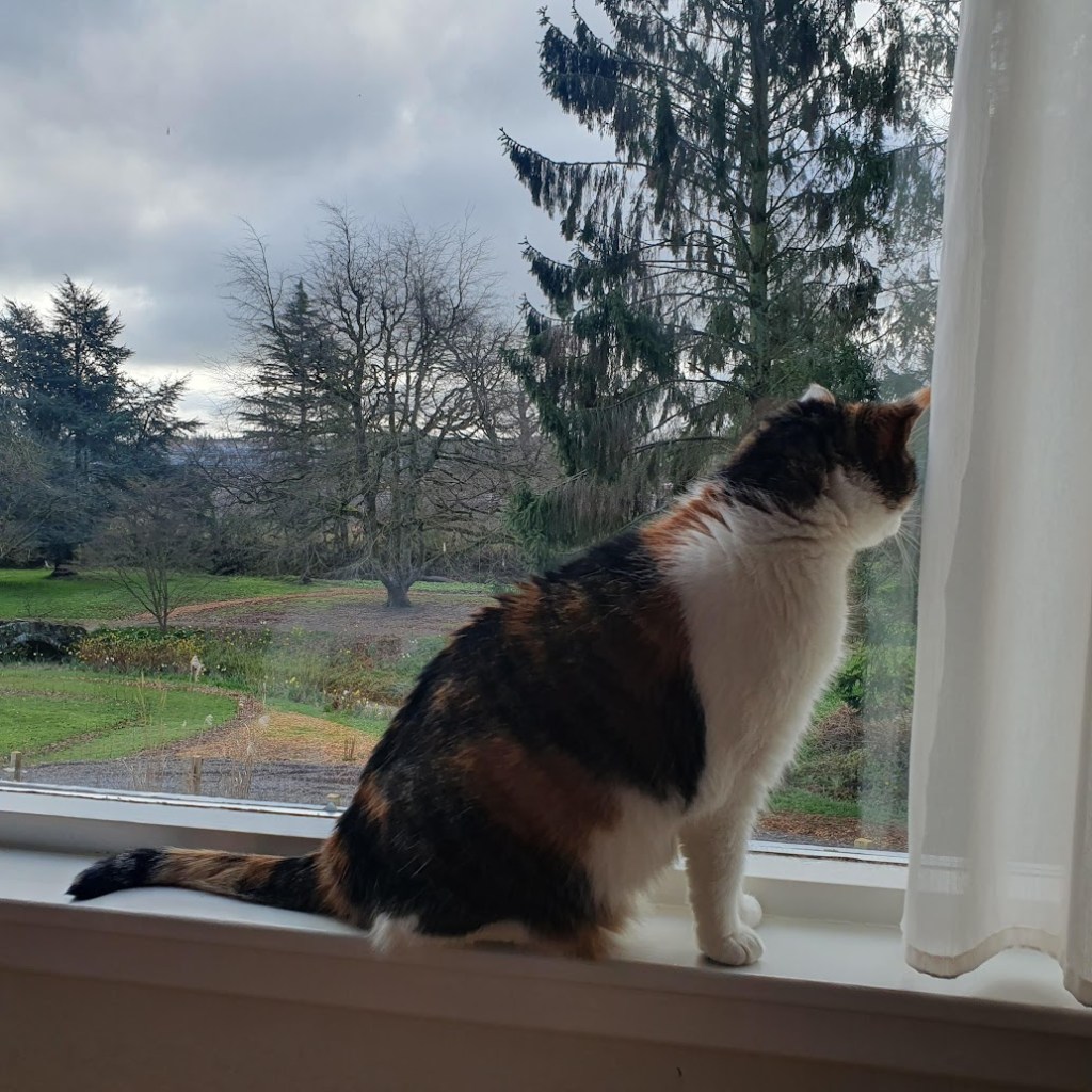 Victoria looking out the window.