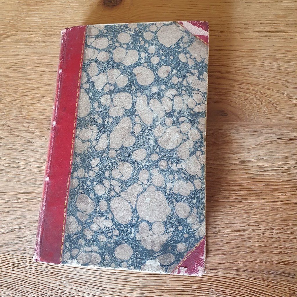 Front cover of the book. It's leather-bound with blue and white splotches on the front. It looks very old.