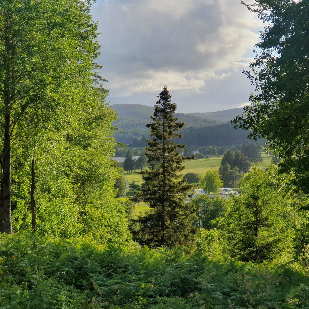View from a hill in Ballater.