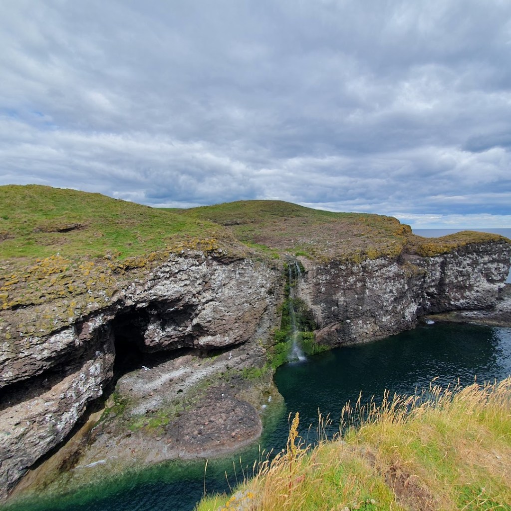 Seabirds at Fowlsheugh
