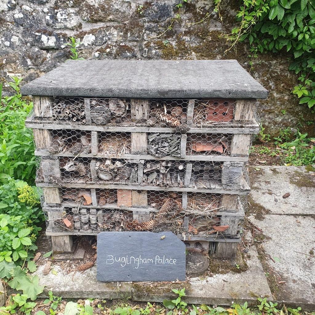 Bugingham Palace - the insect hotel. 