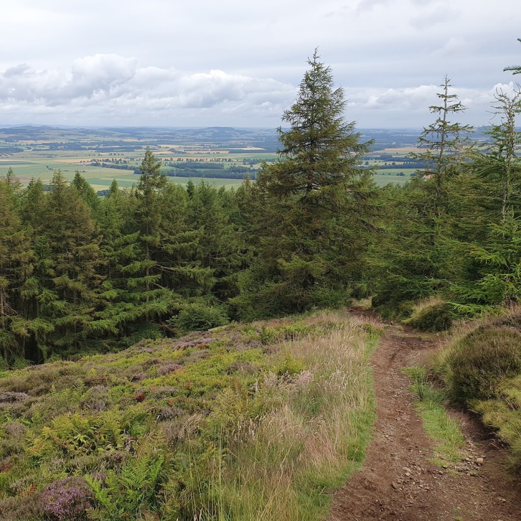 The tree line getting close on the way down.