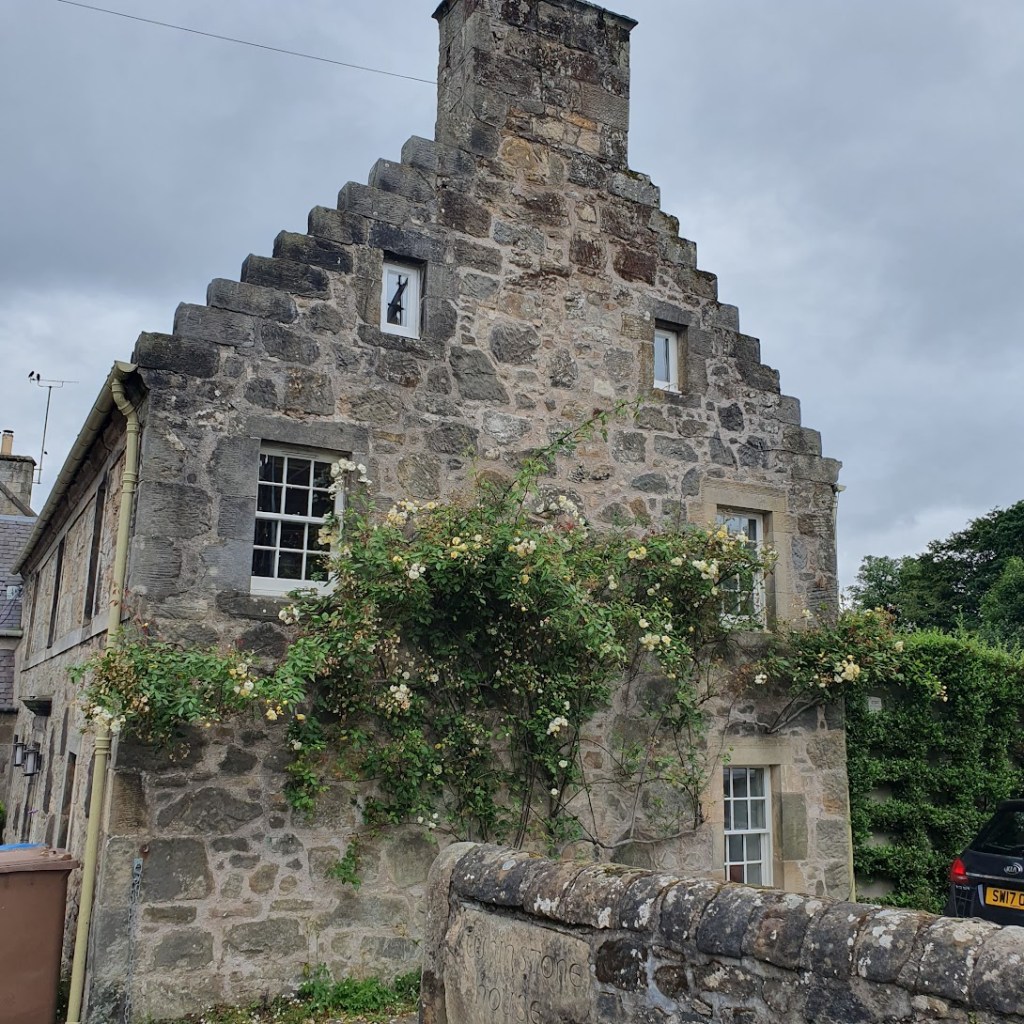 The end of a building with a lovely rose bush climbing the wall.