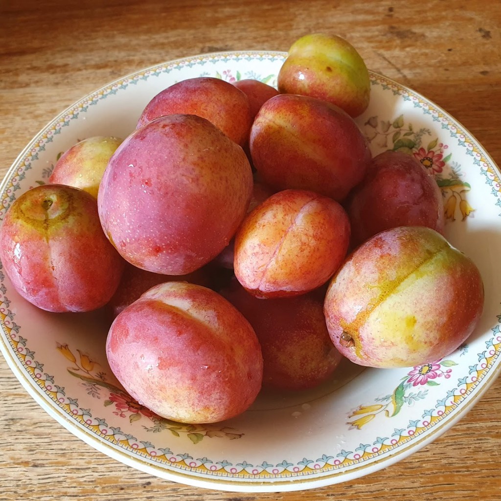 A bowl of plums.