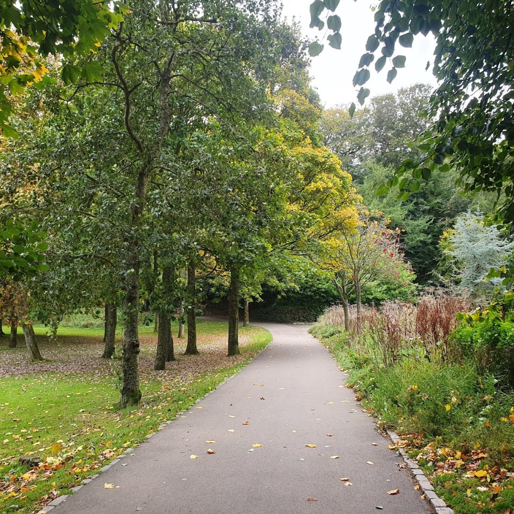 A path through the park with trees starting to go yellow.