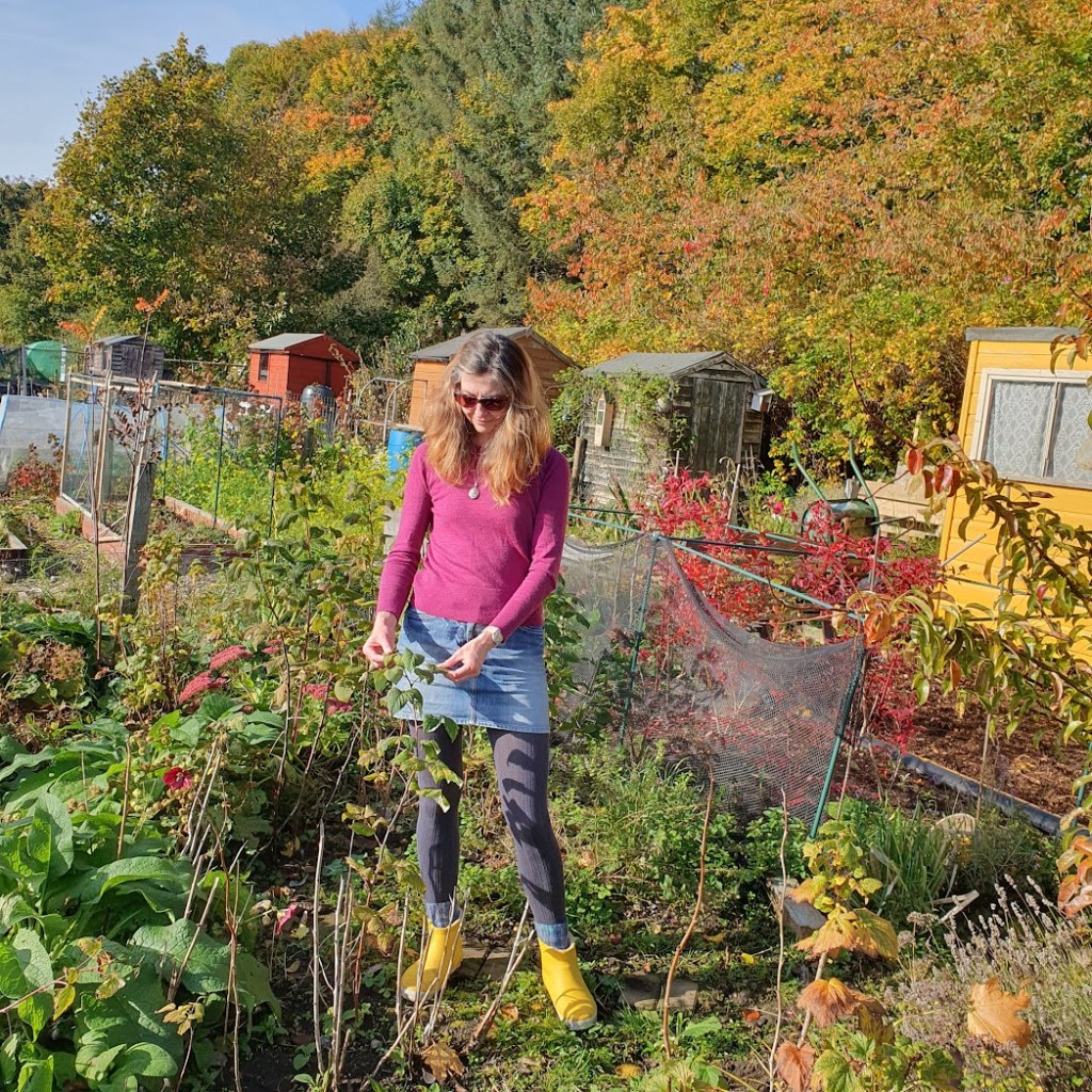 Me inspecting a plant at the allotment with lots of autumn colours behind.