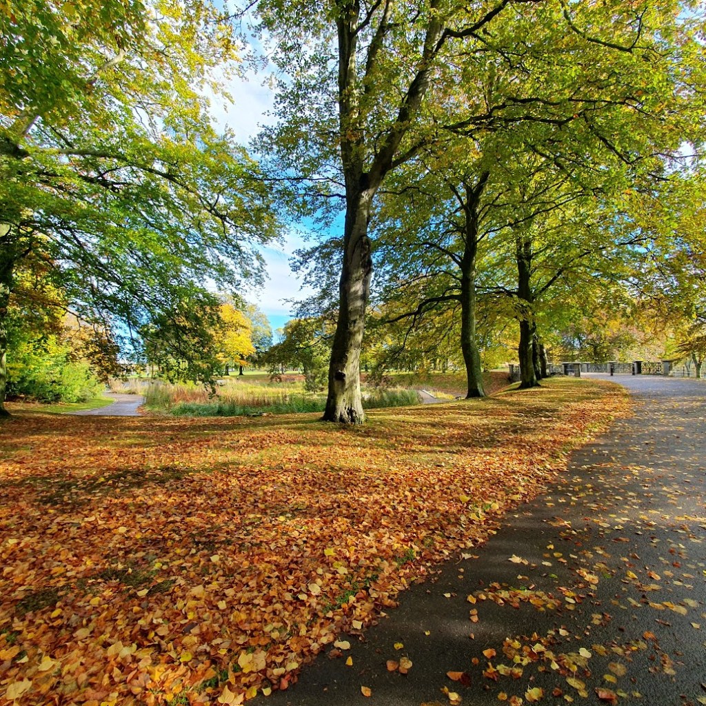 Duthie Park looking spectacular in autumn colours.