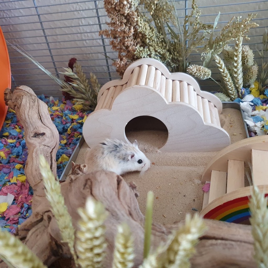 Lucille in the sand bath.