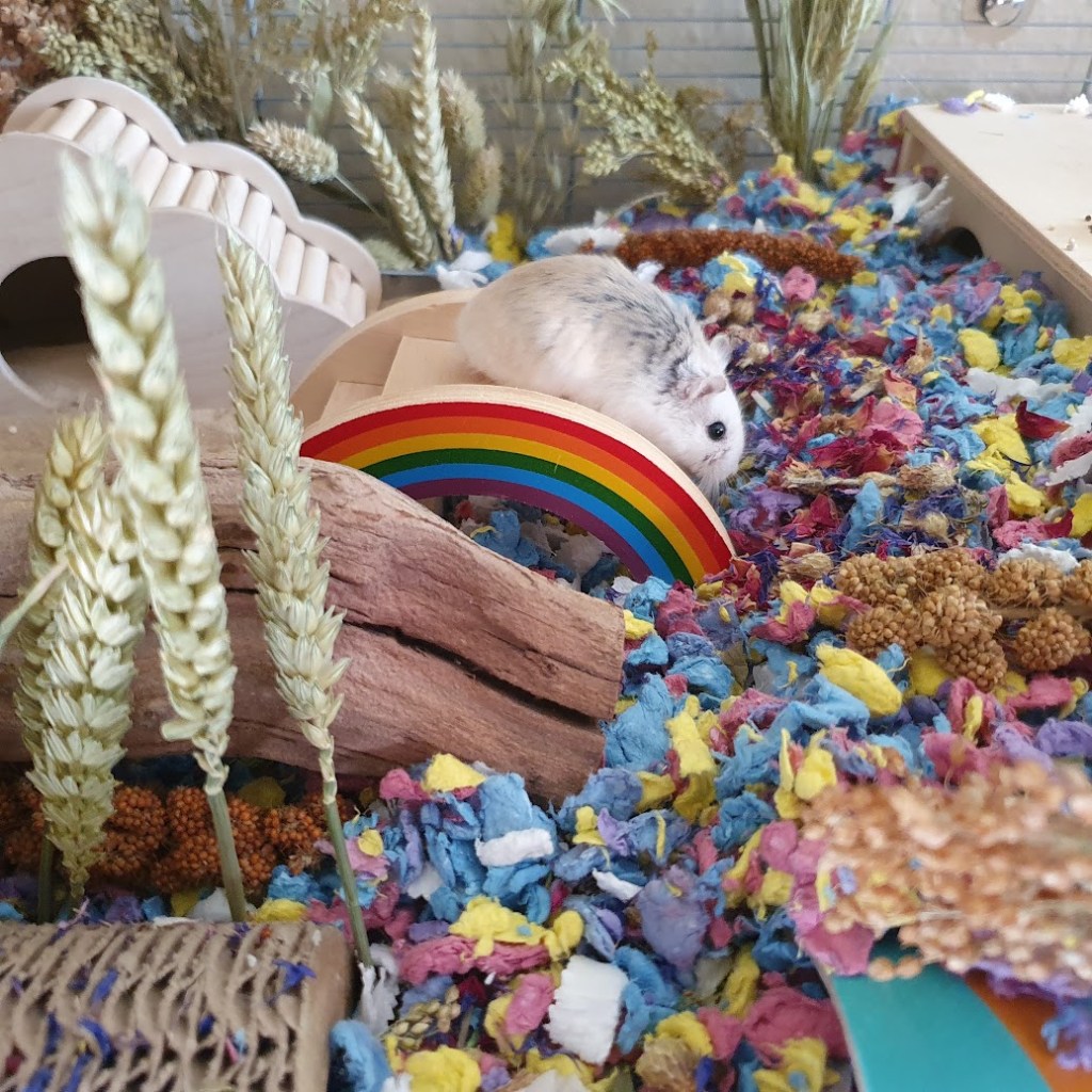 Lucille climbing over the bridge.