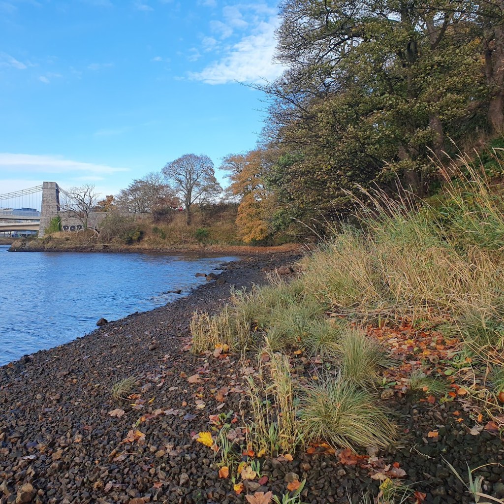 Looking down the river towards the suspension bridge that's now just for pedestrians and cyclists.