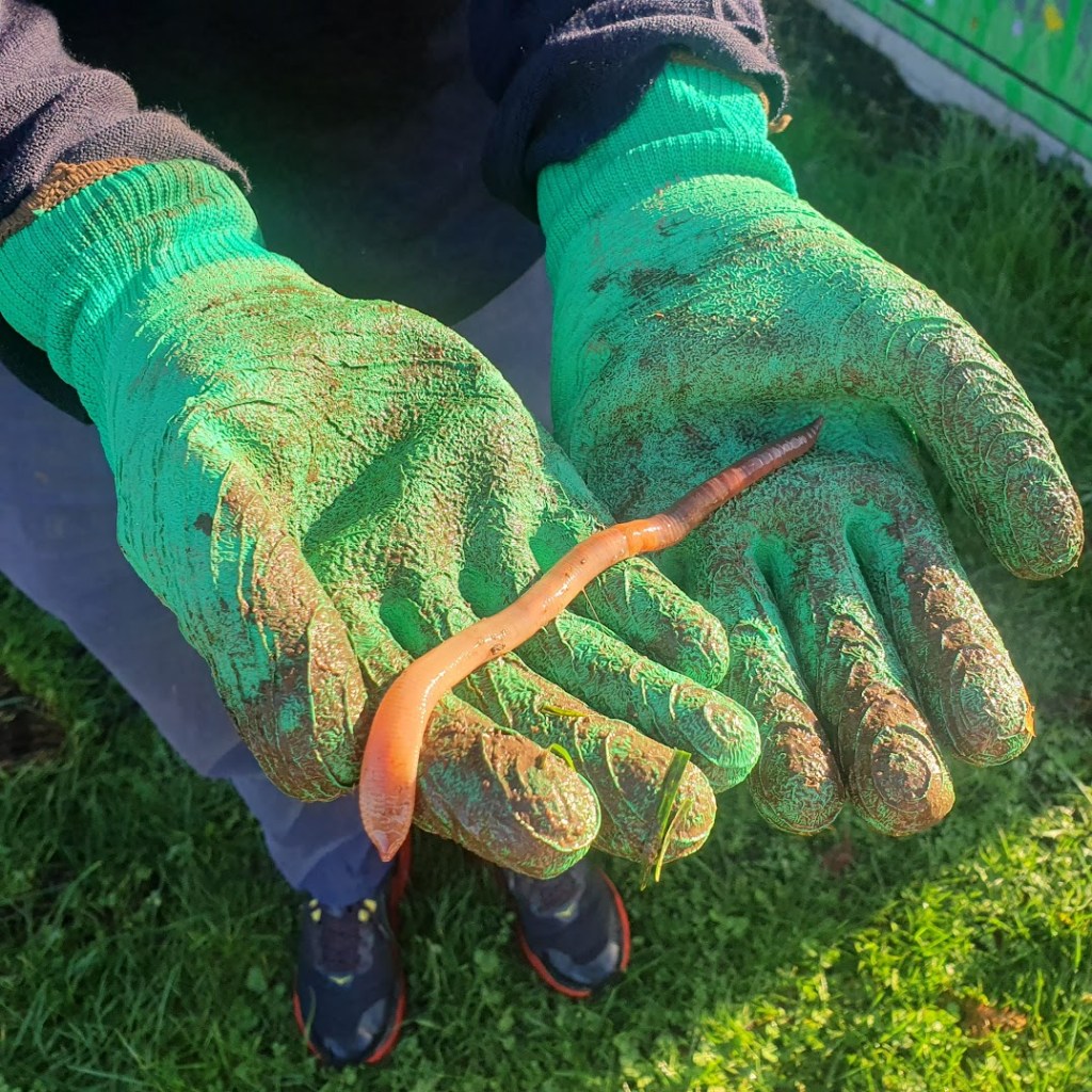 A fat earthwork on Ben's hands.