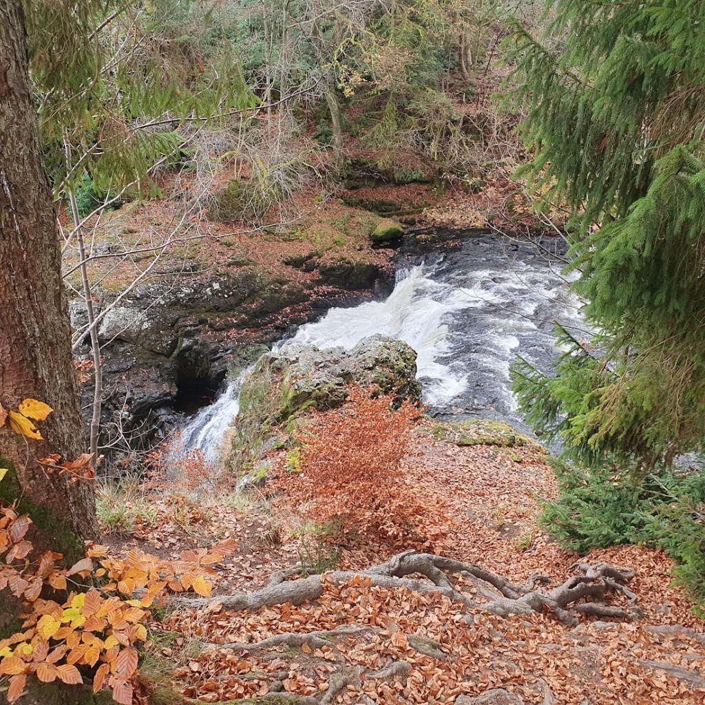 Waterfall from the side with lots of autumn leaves on the ground.