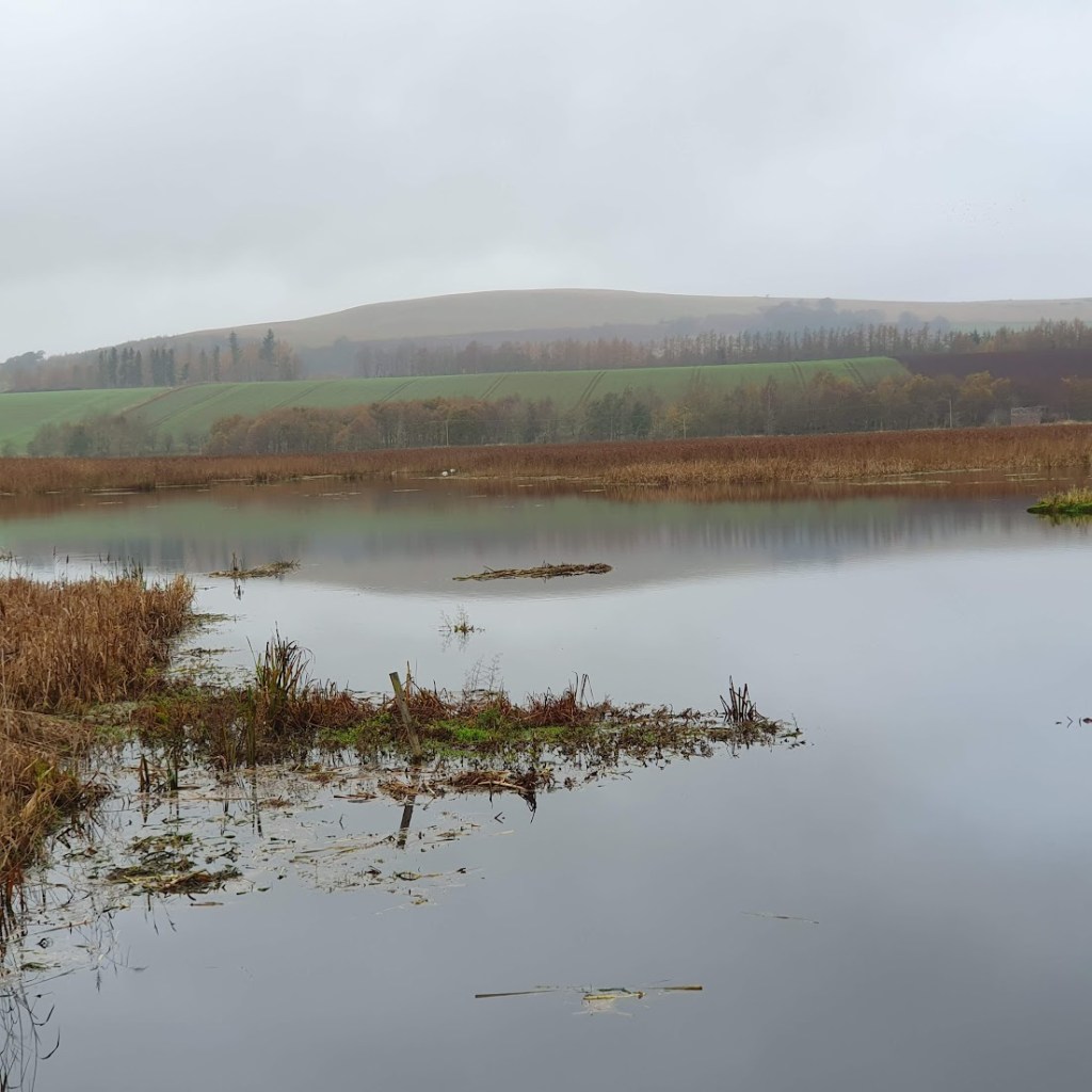 Loch Kinnordy shrouded in mist with the hills behind.