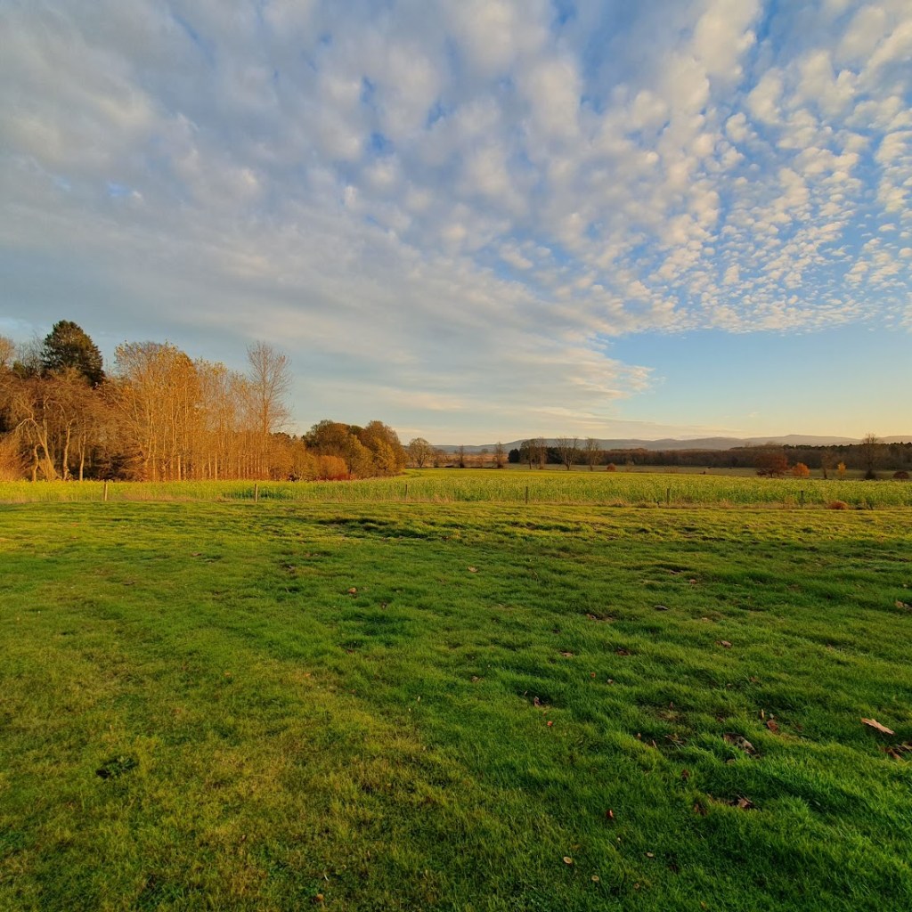 A view of fields with blue sky and hills in the distance.