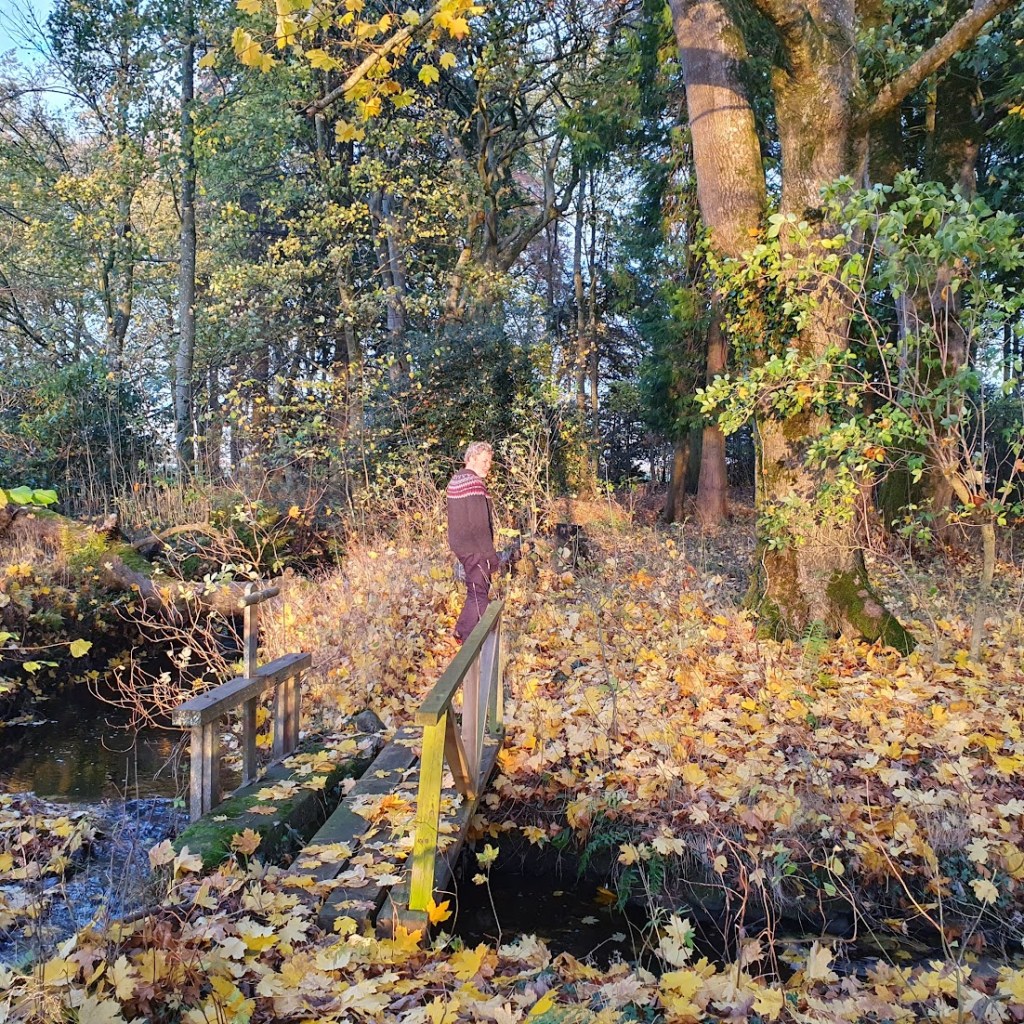 Ben on the other side of a wooden bridge with yellow leaves all over the ground.