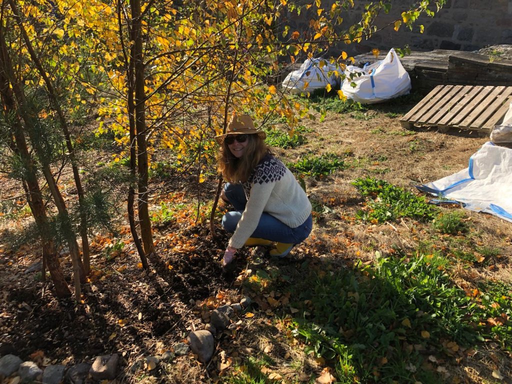 Rachel crouching beneath some trees planting bulbs.