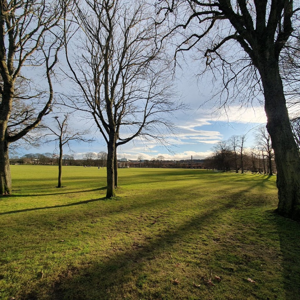 Duthie Park on Christmas Day. It's green and sunny.