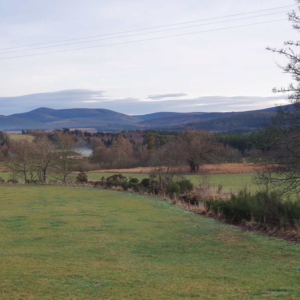 A rurual view with green fields, hedgerows and hills. 