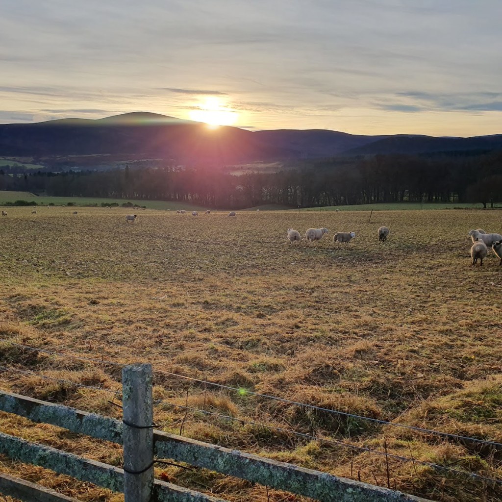 Finzean walk and&nbsp;shop