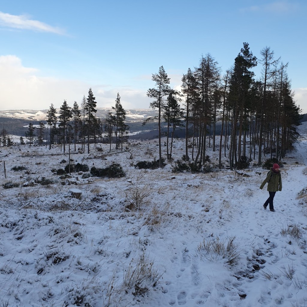 Elizabeth walking ahead with some scattered trees and lovely views of hills covered in snow.