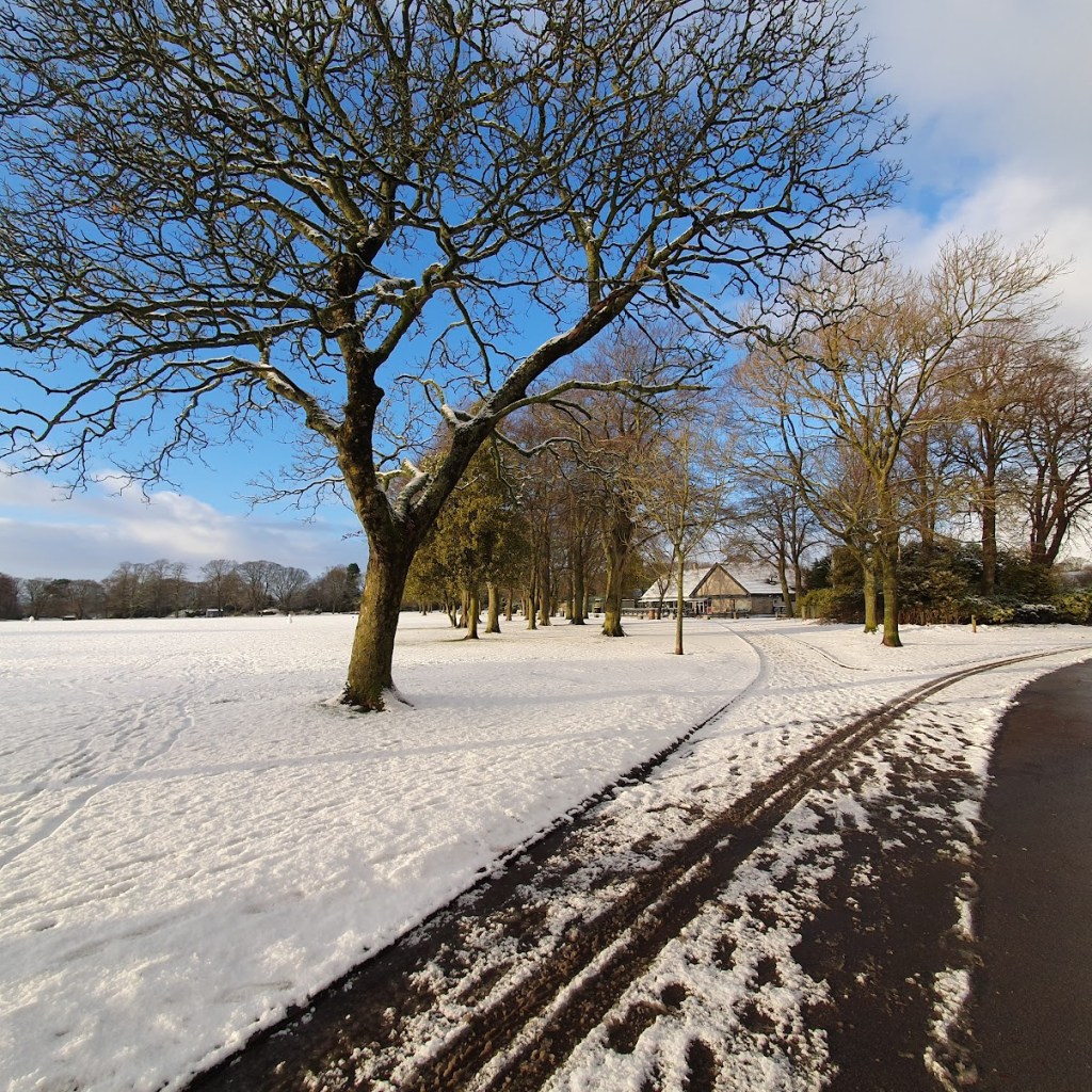 A snow-covered landscape with a bare tree in the foreground and a blue sky.