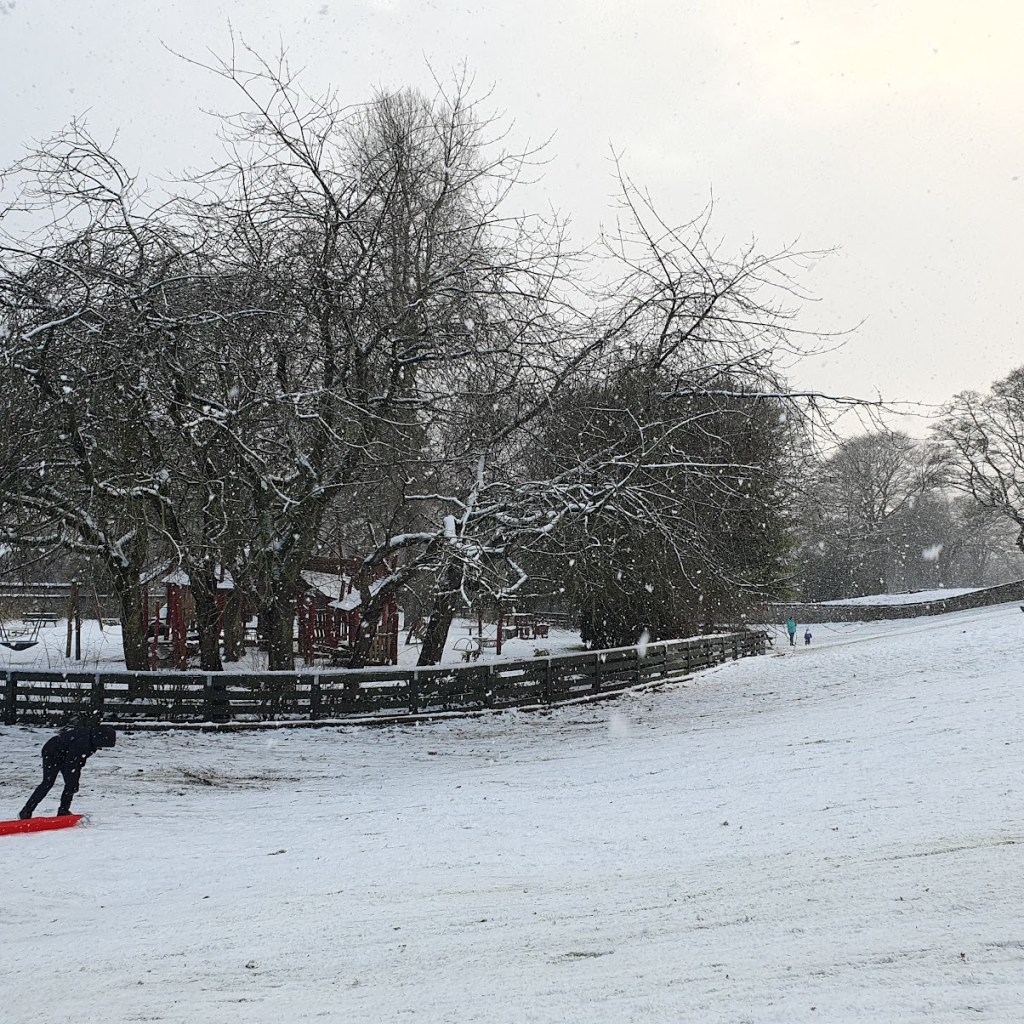 The sledging slope with a person pulling a red sledge.
