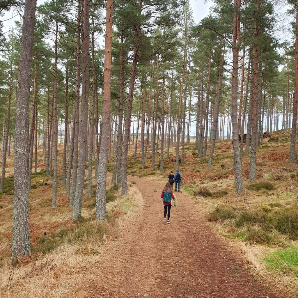 Daniel, Elizabeth and Michiel walking in the woods.