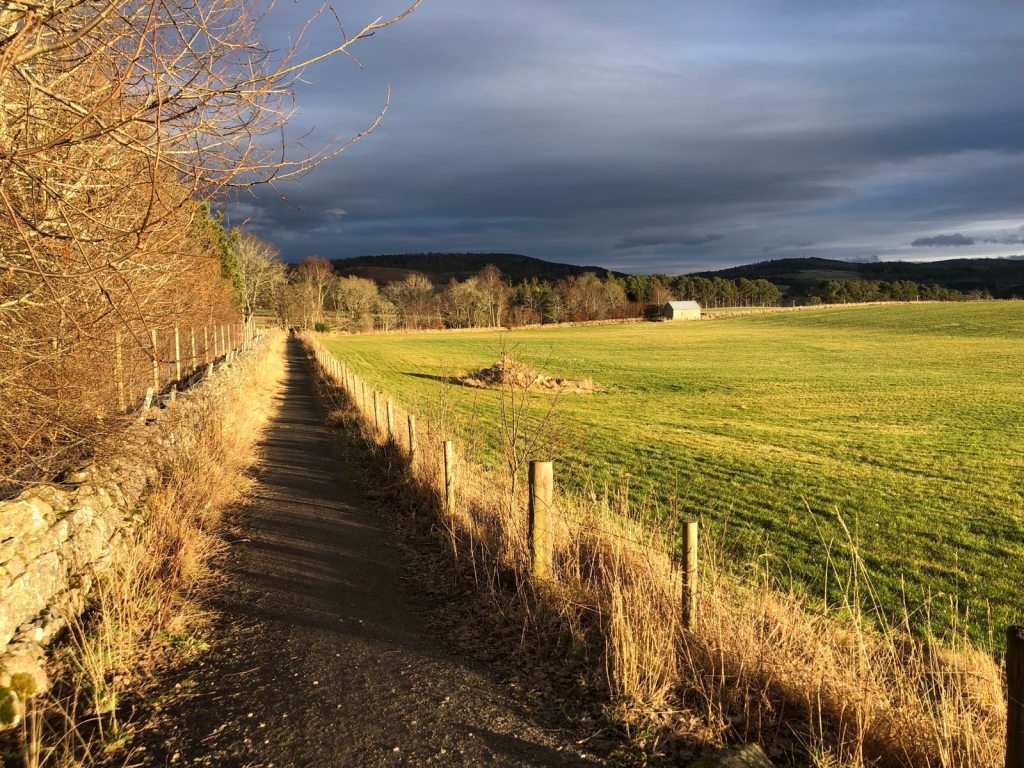 A path next to the green field.
