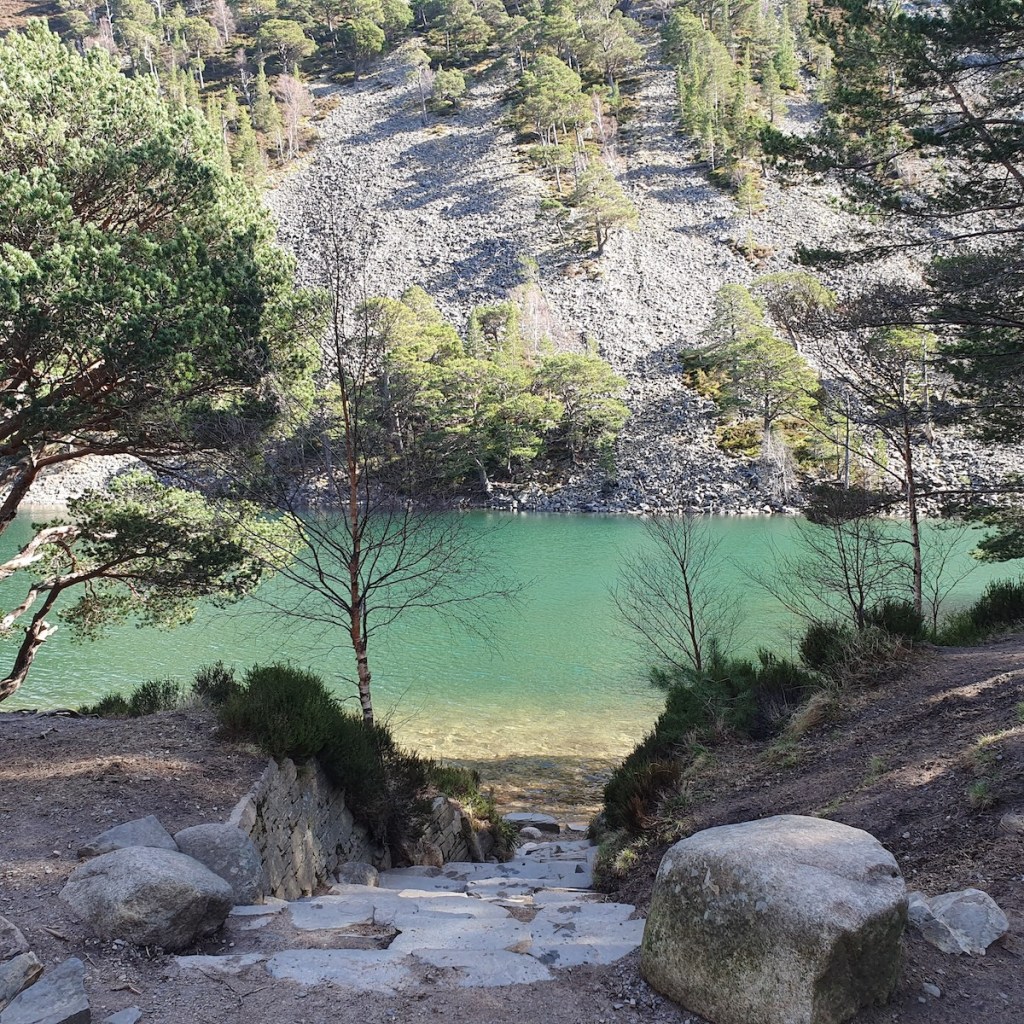 Freezing dip in the Green&nbsp;Loch