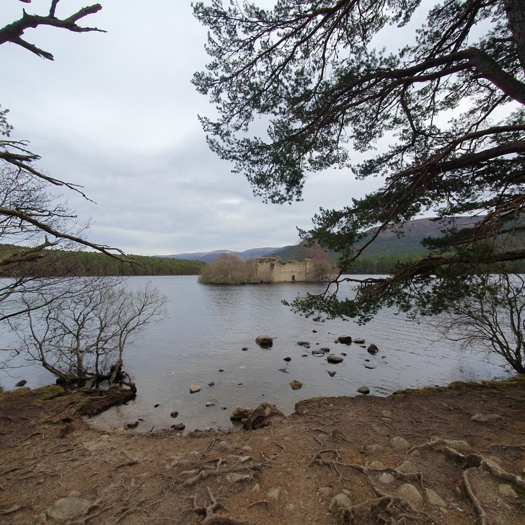 Another view of the island in Loch an Eilein.