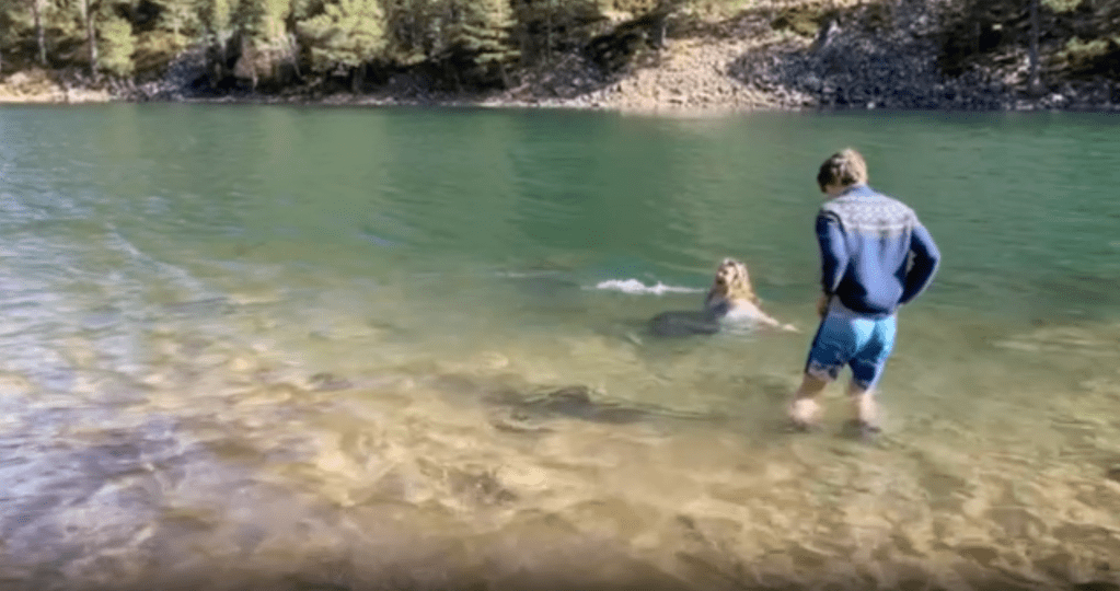 Daniel splashing in the loch, Rachel swimming, Ben swimming, and Elizabeth wading.
