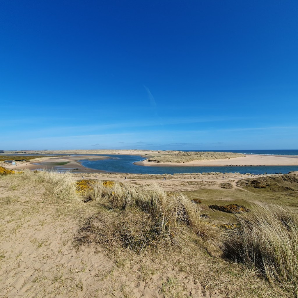 A wide angle shot from the viewing platform at the top of the estuary.