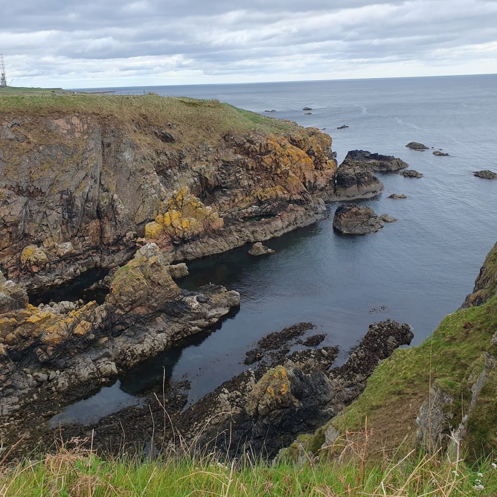 Ducks, walk, and&nbsp;hamster