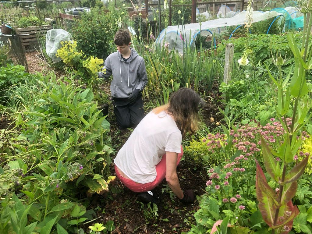 A close-up of Rachel and Daniel weeding.