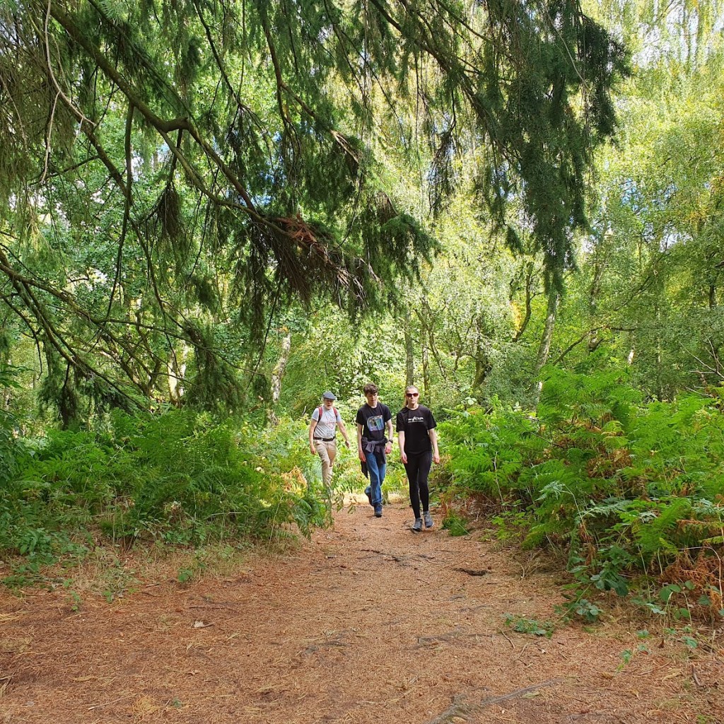 Ben, Daniel and Elizabeth in the woods