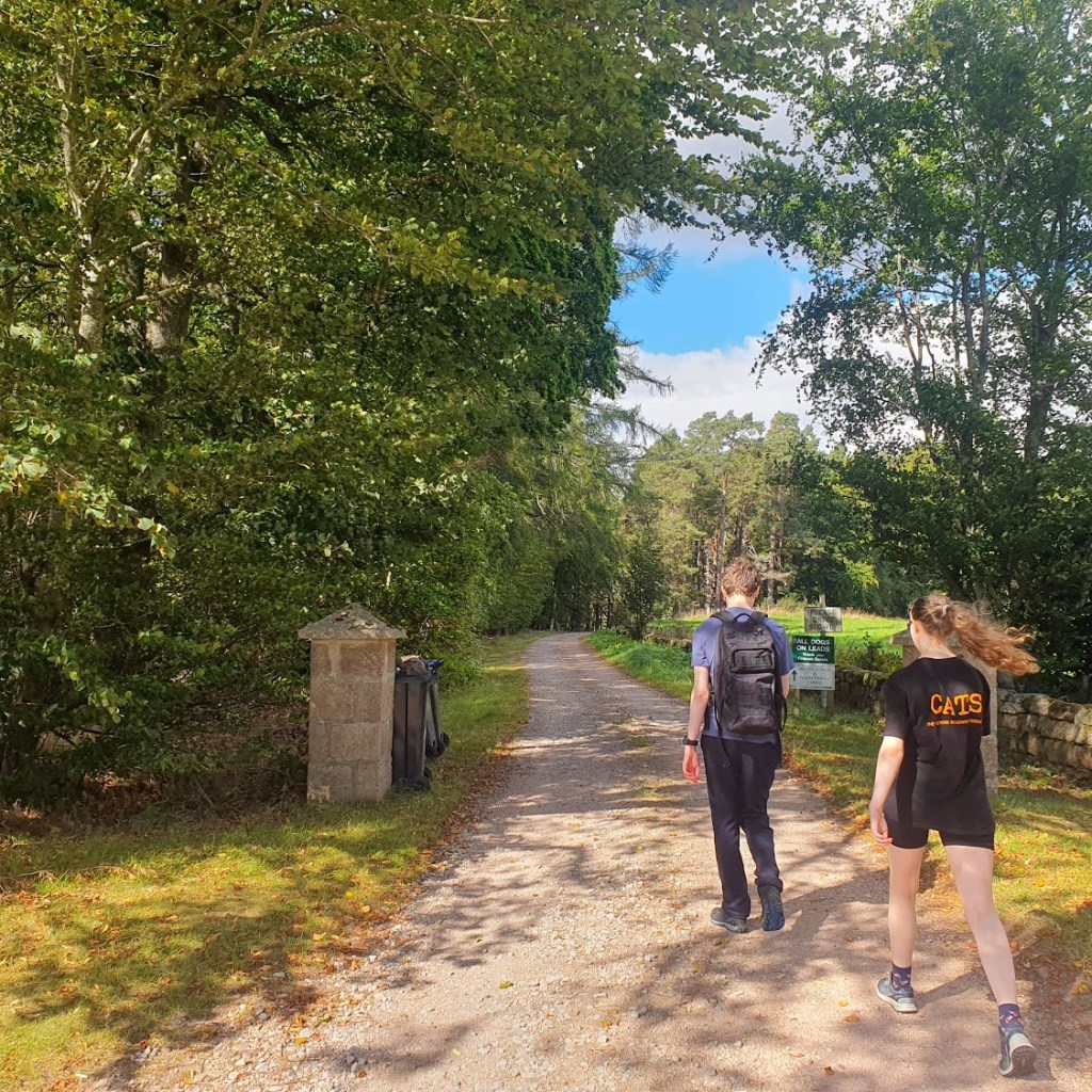 Daniel and Elizabeth walking ahead and about to enter the woods.