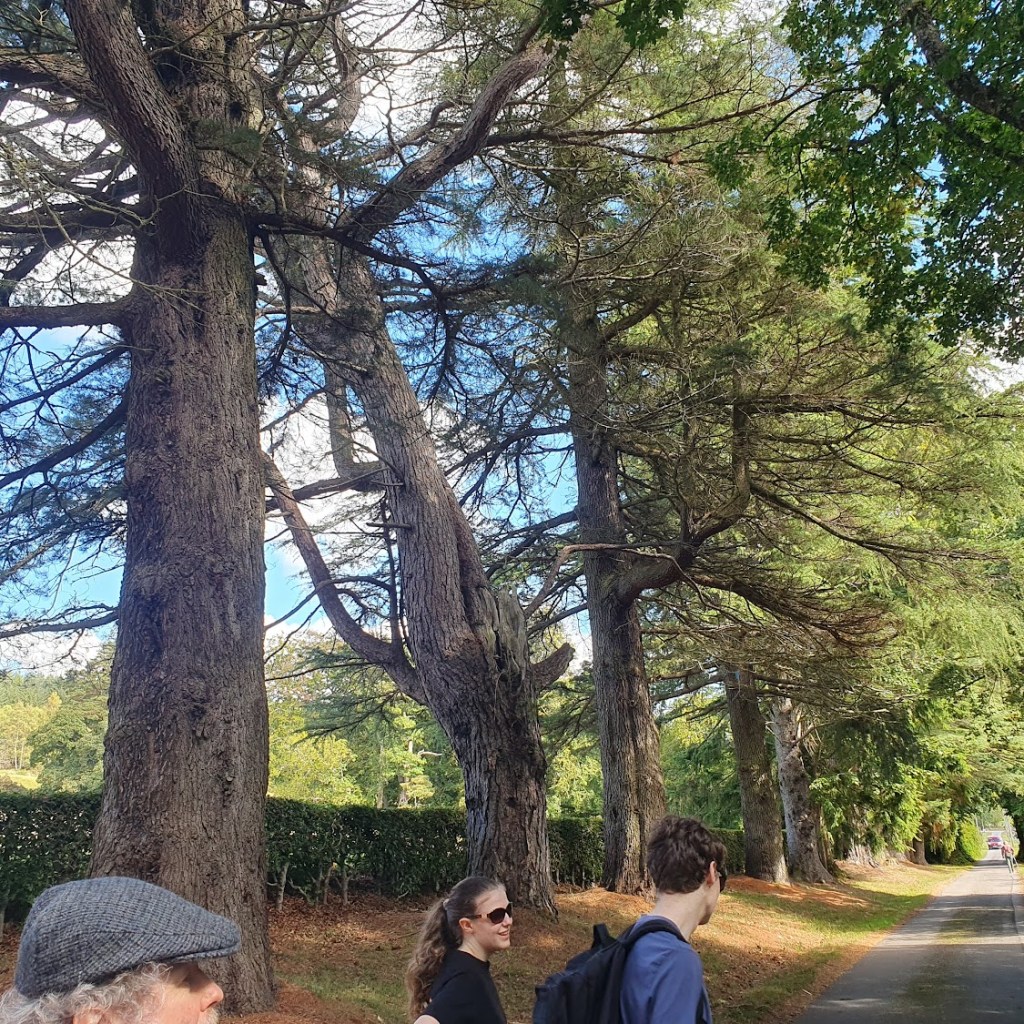 A tree-lined road with Ben, Elizabeth and Daniel visible at the bottom