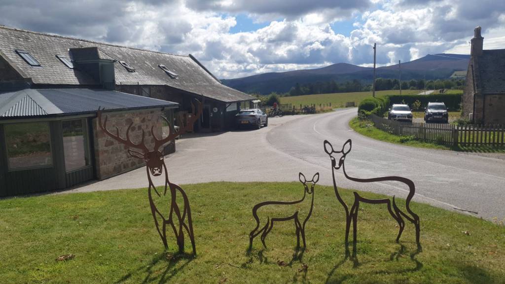 Sculptures of a deer family outside the Finzean farm shop